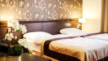 Фото номера Двухместный номер Делюкс с 1 кроватью и душем Отель Hotel &amp; Spa Biały Dom г. Paniówki 3